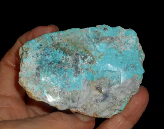 Turquoise molybdenite windowed blue mineral park Kingman AZ  specimen 4.4 oz