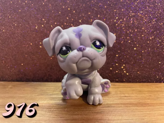 Authentic Littlest Pet Shop #916 Gray Purple Bulldog Mint Green Splatter Eyes Authentic Littlest Pet Shop #916 Gray Purple Bulldog Mint Green Splatter Eyes