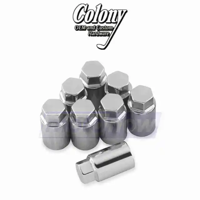 Colony Cylinder Base Nut Kit for 1957-1959 Harley Davidson XL - Engine sz