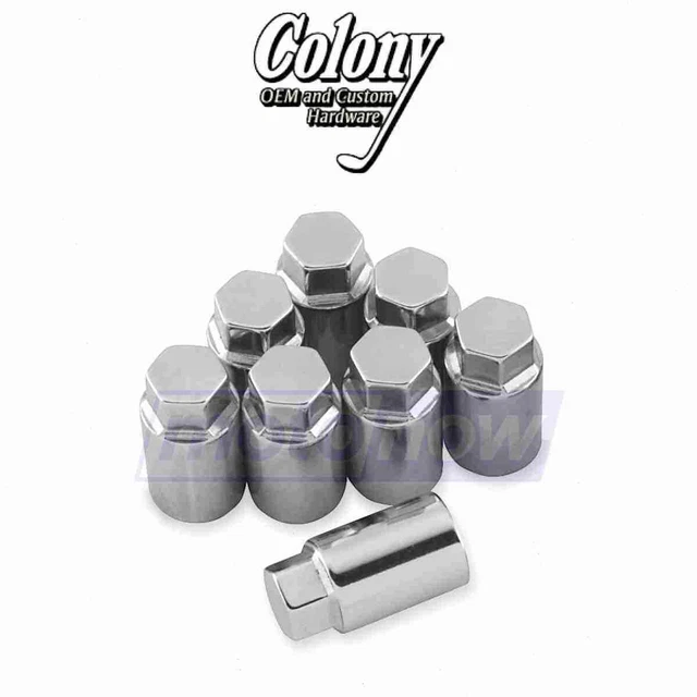 Colony Cylinder Base Nut Kit for 1957-1959 Harley Davidson XL - Engine sz