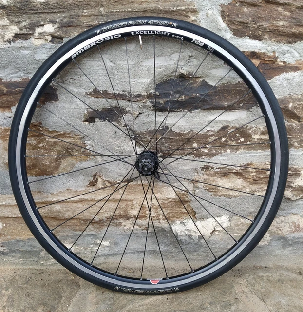 AMBROSIO x CAMPAGNOLO Ruota Posteriore COPERTONCINO Racing CLINCHER Rear Wheel