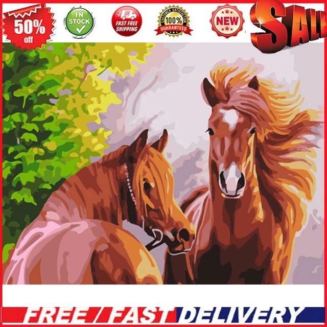 Hand Painted Artwork Frameless DIY Relaxing Horse Painting By Numbers Kit Craft