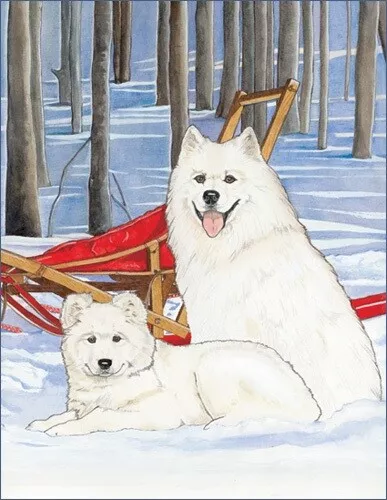 Samoyed Birthday Card 5 x 7 with Envelope
