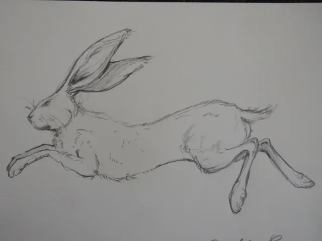 Original signed small pencil drawing of a hare leaping jumping on ivory paper