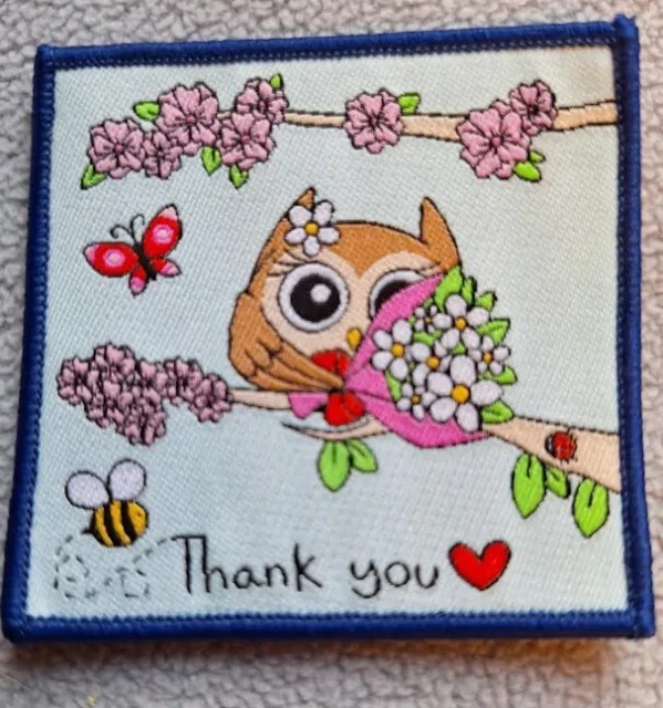 Girlguiding  Brownie Guide Rainbows  Owl Beaver  Squirrel  Thank you Cloth Badge