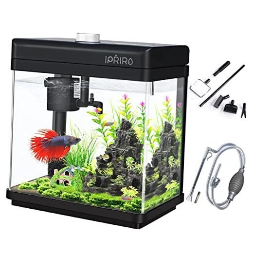 Glass Betta Aquarium Starter Kits Fish Tank with LED Light and Tank with tools