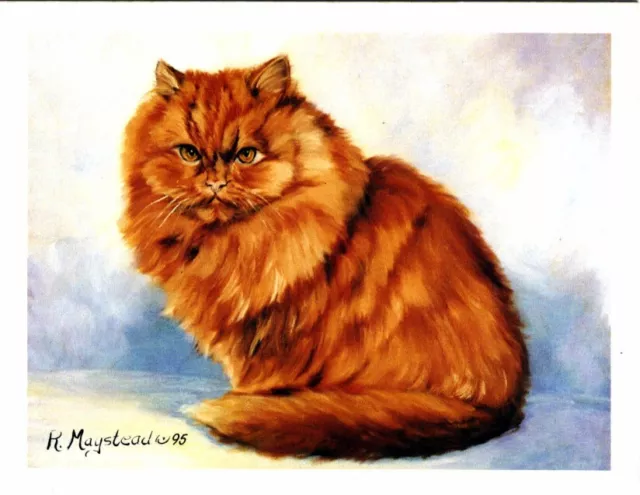New Persian Cat Sitting Notecard Set - 12 Blank Note Cards By Ruth Maystead