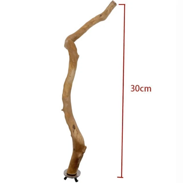 Holz Papagei Vogelständer Sitzstangen Haselnuss Vögel Wellensittich Spielzeug! 2