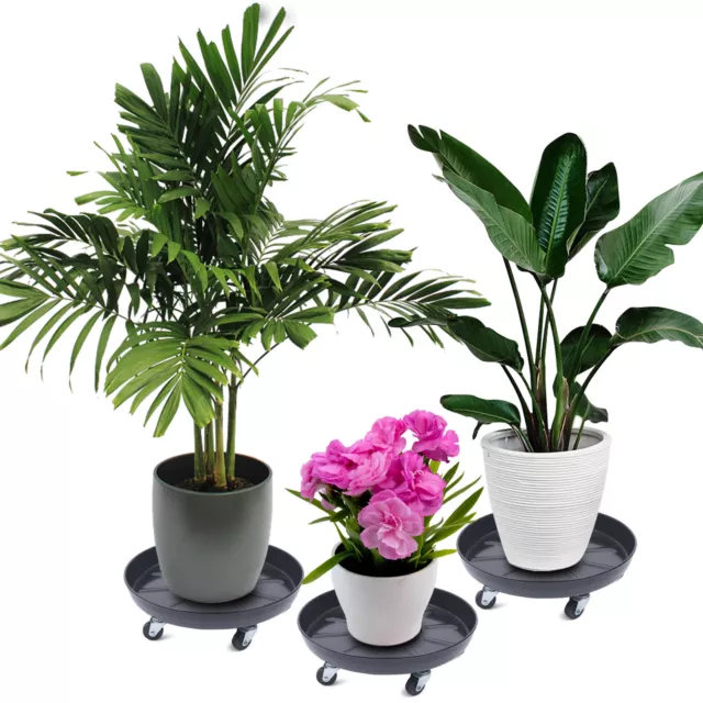 3 Pcs Plant Dolly Stand Iron + Rubber Universal Wheels Patio Plant Pot Trolley