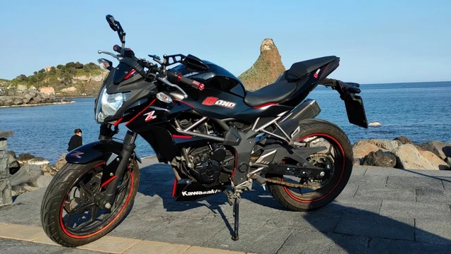 Kawasaki Z 250 SL Kawasaki Z 250 SL