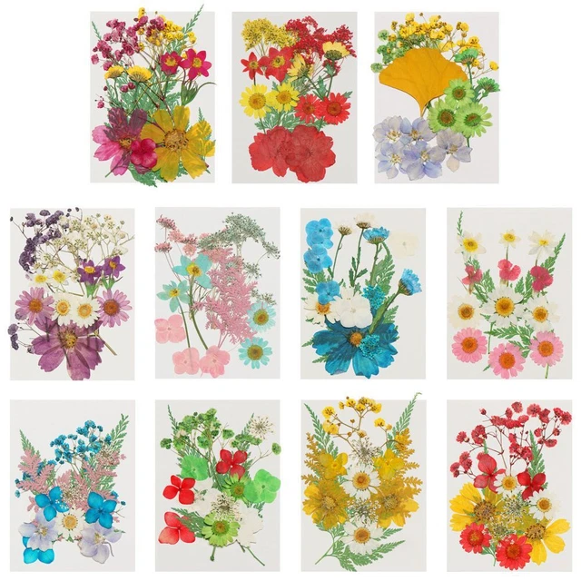 Calcomanía de belleza para hacer relleno de resina molde relleno flores secas flores