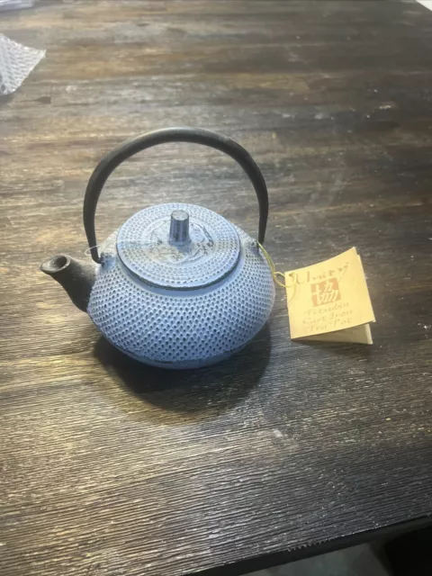 Unity Tetsubin Cast Iron Mini Tea Pot 5” Japanese Style Blue