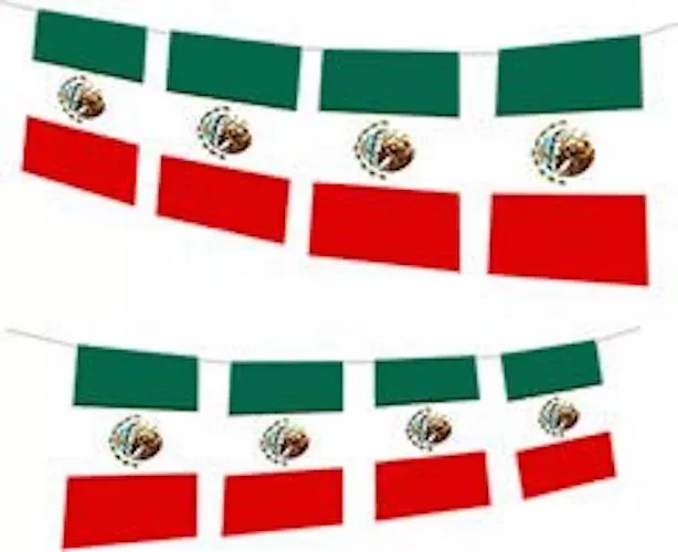 Cinco de Mayo Massive 33ft Mexico Mexican Bandera de México Flag Bunting