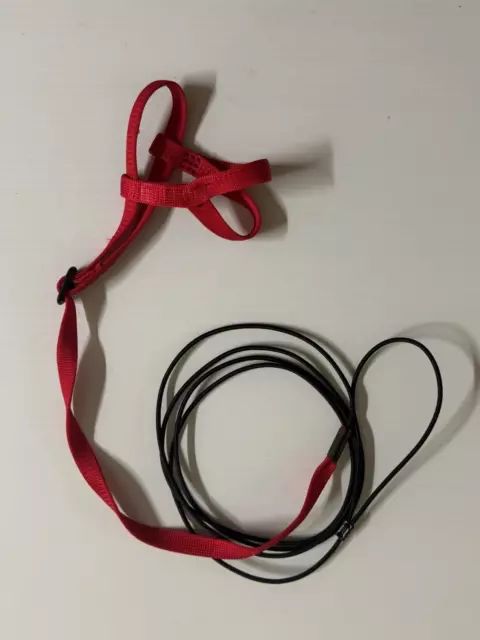 The Aviator Bird Harness and Leash , Small Red (Barely) Used 2