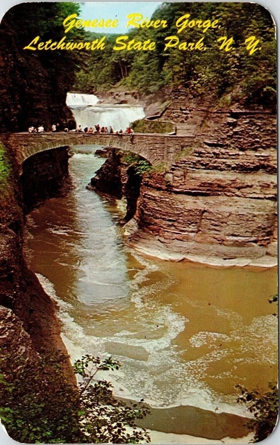 Genesee River Gorge Letchworth State Park NY New York Postcard PM Batavia NY WOB