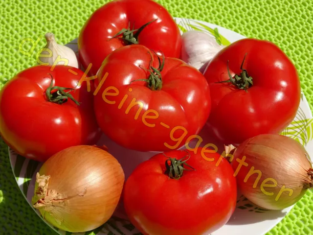 Moskvich Tomate Alte Russische Sorte Tomatensamen 10 Samen