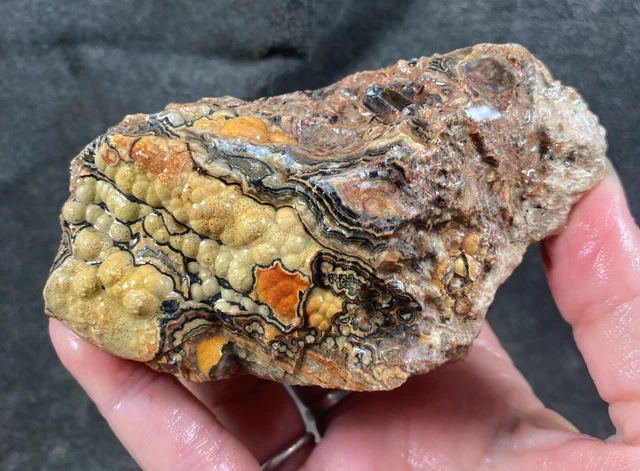 RARE Flowering Tube Onyx Rough - Utah