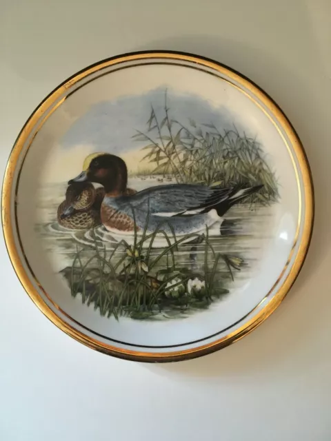 Edwardian Fine Bone China Wildfowl Series Plate No. 3 Widgeon By John Gould 