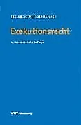 Exekutionsrecht von Walter Rechberger | Buch | Zustand gut