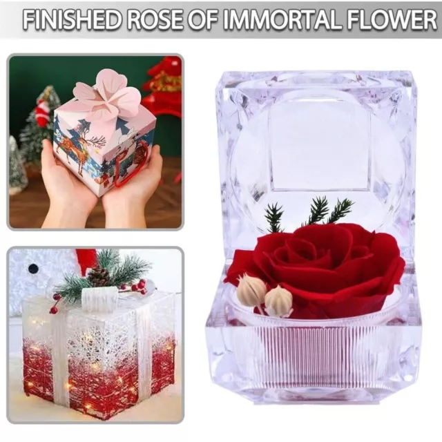 Preserved Roses Eternal Real Flower in Gift Box Valentine's Anniversary Wedding