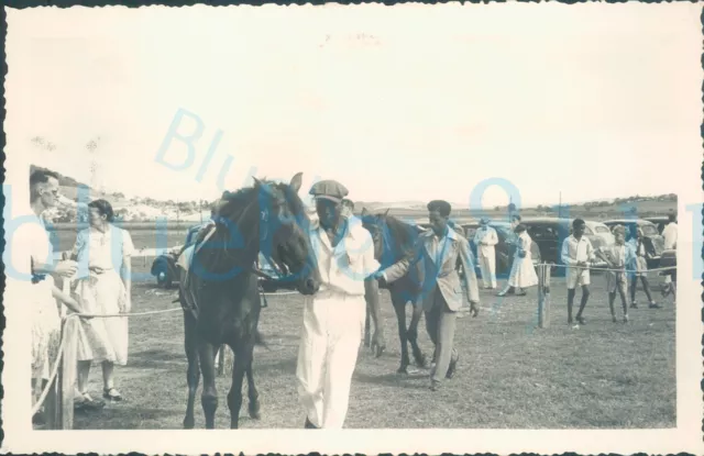 1940s St Johns worker photo, Antigua Race course horses & riders 5.25*3.25"