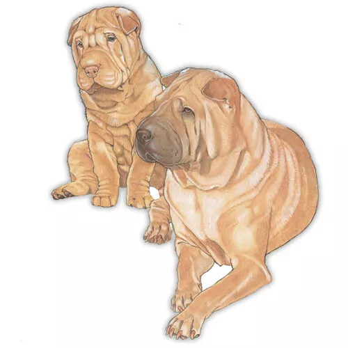 Shar Pei Magnet Wooden