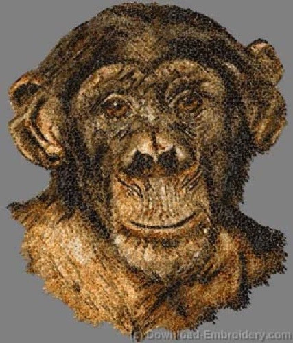 Embroidered Long-Sleeved T-Shirt - Chimpanzee DLE5146 Sizes S - XXL
