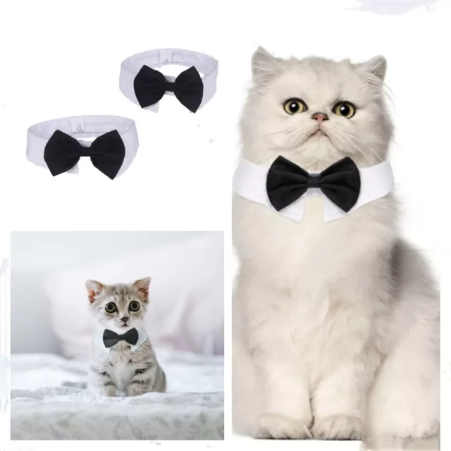 Vêtements pour animaux de compagnie Col de robe de chat Noeud papillon de chien