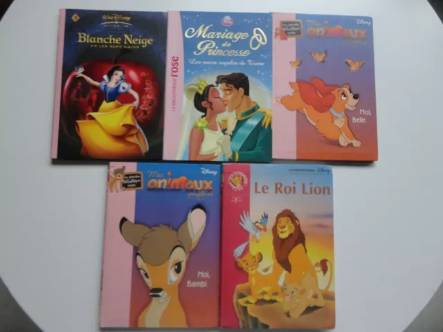 VTECH MAGIBOOK ROSE et 1 Livre Princesses Disney EUR 20,00 - PicClick FR