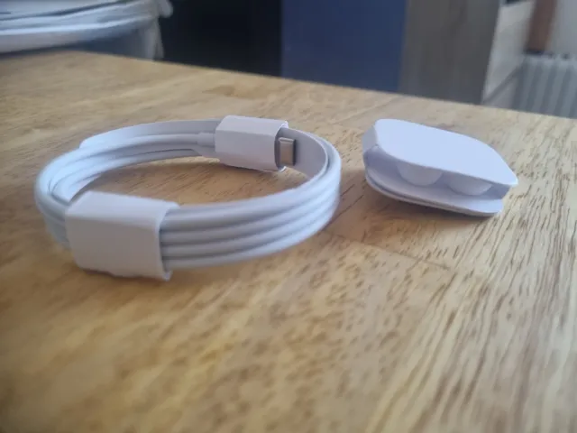 Apple USB Type C To Thunderbolt Airpods Tips Spares