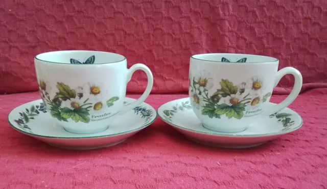 Vintage Royal Worcester “Herbs” 2 x Cup And Saucer. Wild Thyme Pattern