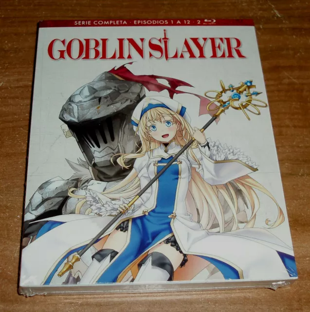 Goblin Slayer Anime English Dubbed Complete Series Slayer Uncensored  Episodes