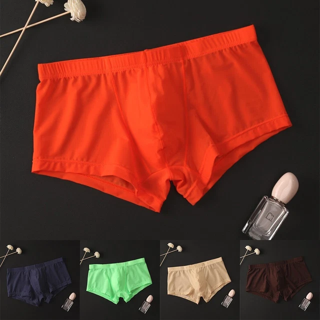 SEXY MENS SHEER See Through Boxer Briefs Underwear Mesh Shorts Trunks