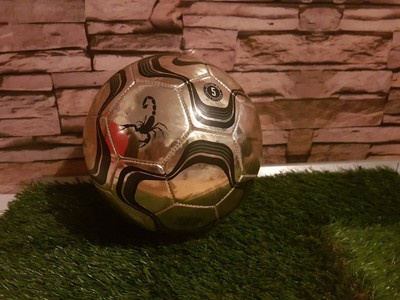 nike scorpion ball 2002