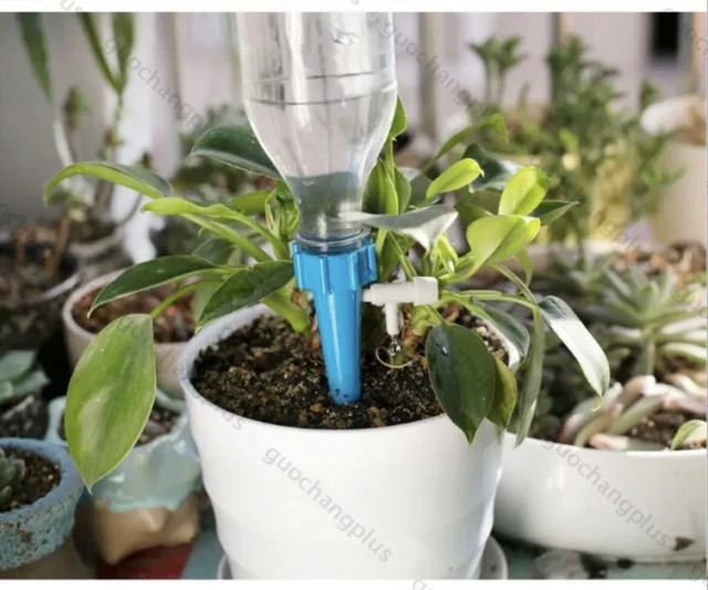 Cura Del Giardino E Del Balcone Per Proprietari D'abitazioni: Come Trasformare Lo Spazio Esterno In Un'oasi Verde | Swiss Life (Svizzera - Foto 8