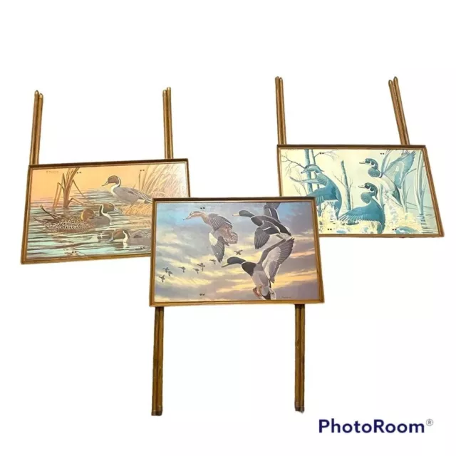 J macleod store tv trays