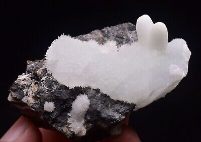 77g Natural Acicular whit Aragonite Crystal Cluster Rare Mineral Specimens China
