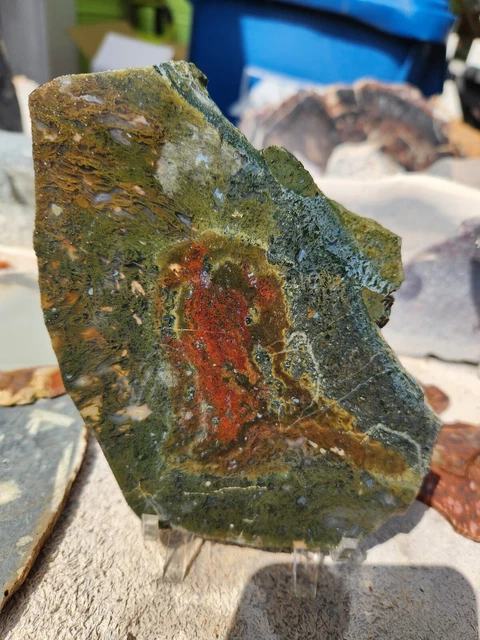 6 Oz Mystery Moss Plume Agate Rough Slab Rock Large Lapidary