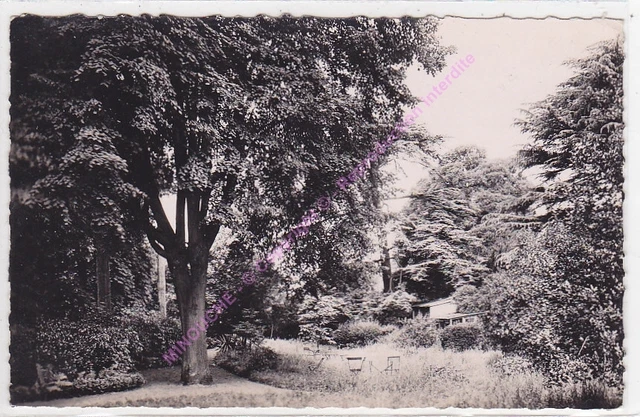 Cpsm 95320 Saint Leu La Forest Park Of Tamaris Street Boissy EDT Bee