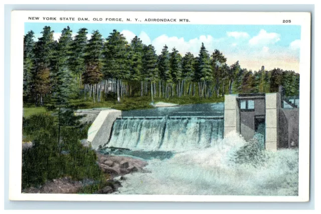 c1905 New York State Dam Old Forge Adirondack Mts. New York NY Antique Postcard