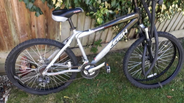 Raleigh 22 inch bike best sale