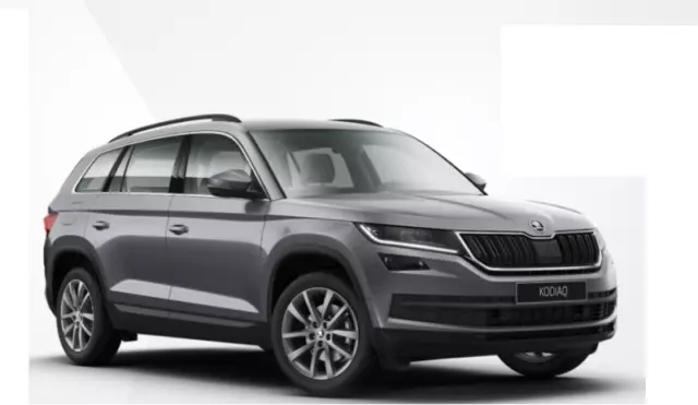 Skoda Kodiaq 2.0 TDI 4x4 Executive  SELETTORE GUIDA