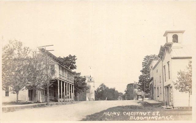 G96/ Bloomingdale Michigan RPPC Postcard c1920s Along Chestnut Street