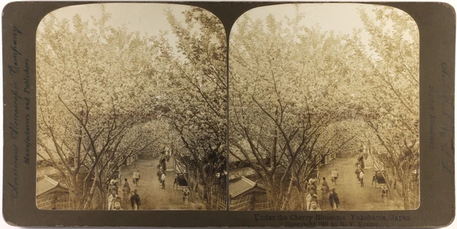 Japan Yokohama 1901 Foto Stereo Vintage PL57n