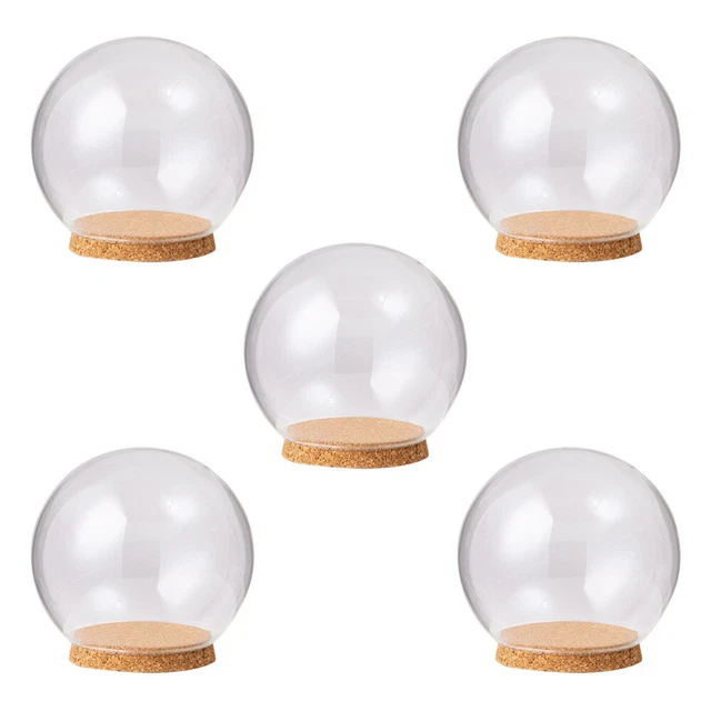 5 piezas Muñeca Recibida Cubierta de Cristal Fresco Conservado Floreciente