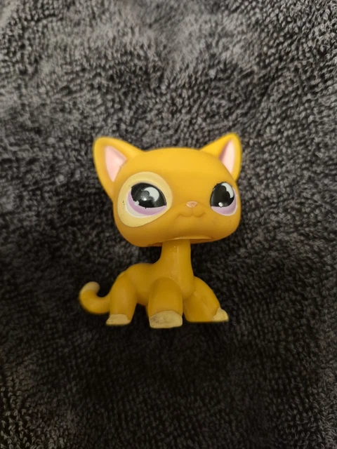 Littlest Pet Shop LPS Chat 855 Authentique - Hasbro, Poil Court, Chat Européen