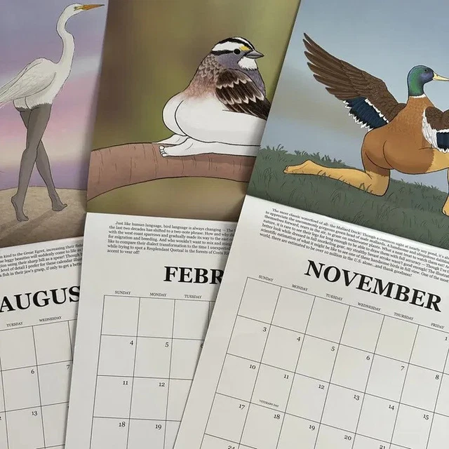 2024 EXTREMELY ACCURATE Birds Calendar Decorative Wall Monthly Calendar