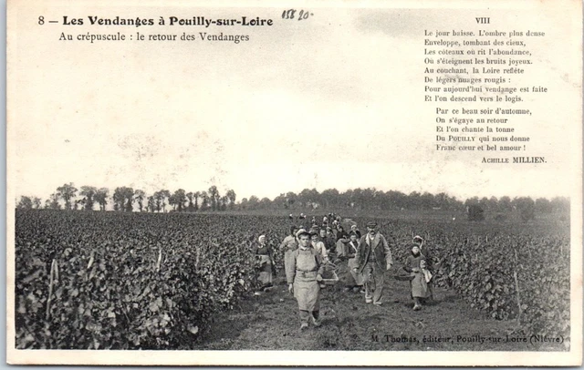 58 POUILLY SUR LOIRE - les vendanges - le retour