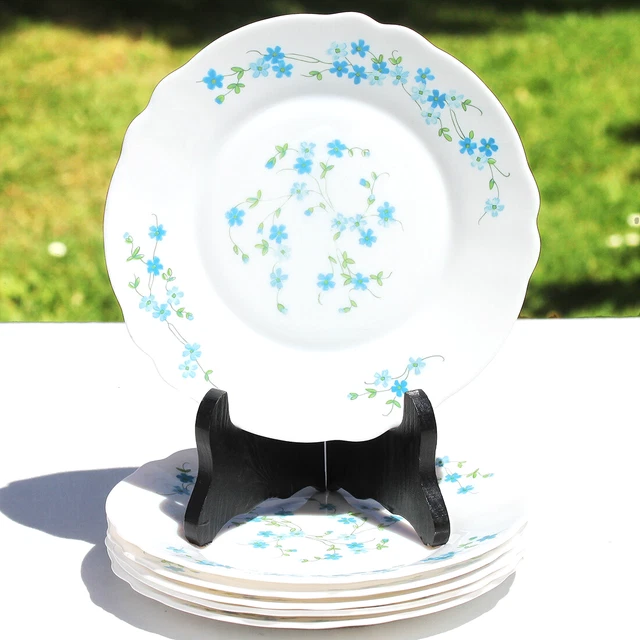 6 Assiettes à Dessert Arcopal Véronica - Motif Myosotis (en Verre, Excellent état)