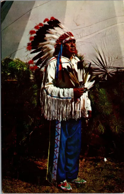 Vtg 1950s Arapahoe Indian Chief Native American Colorado Wyoming Postcard